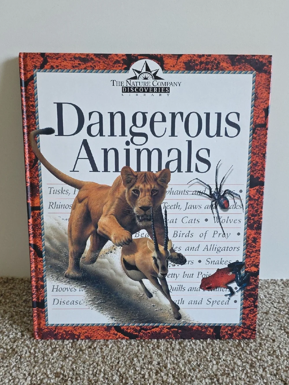 Children's Animal Book Set Dangerous Animals, Elephants, Bears, Giraffes, Rhinos